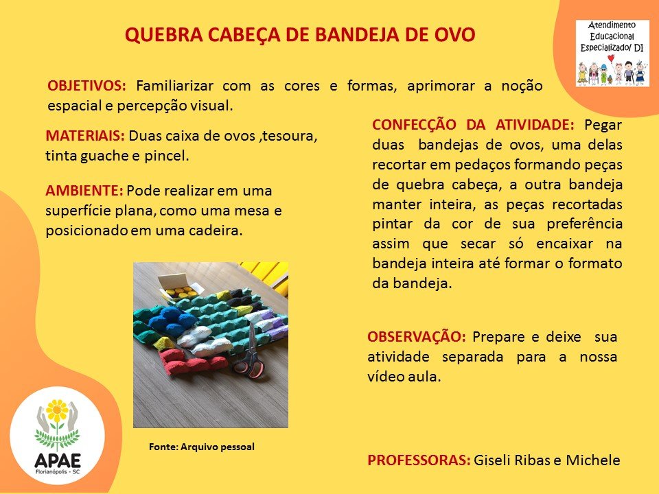 Atendimento Educacional Especializado - Quebra-Cabeça com Caixa de Ovos