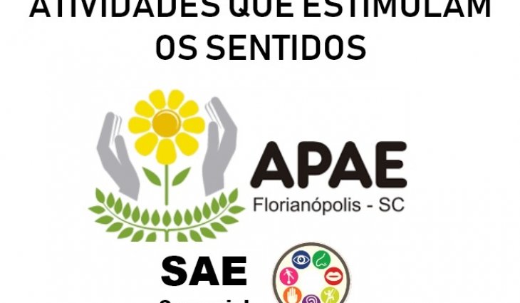 Estimulando os Sentidos