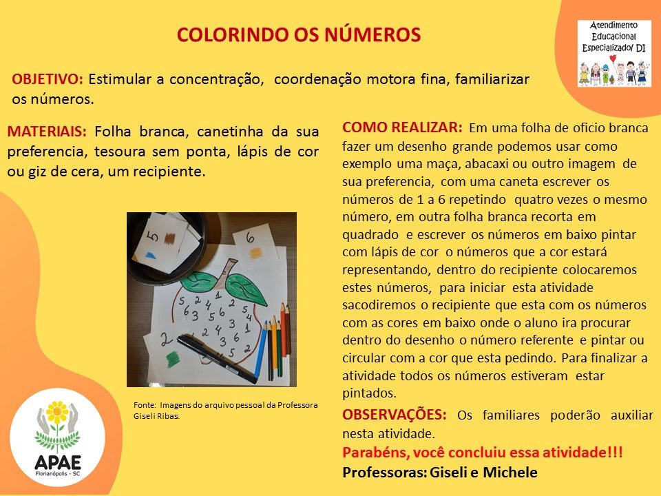 Atendimento Educacional Especializado - Colorindo os Números