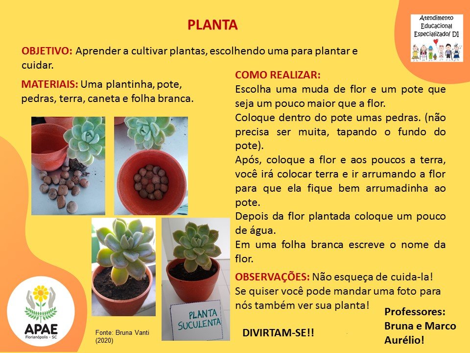 Atendimento Educacional Especializado - Planta