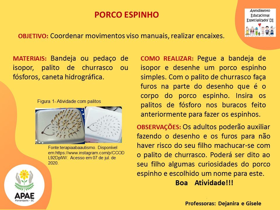 Atendimento Educacional Especializado - Porco Espinho