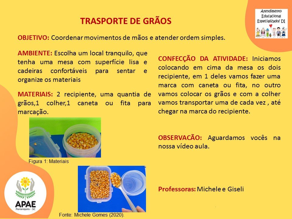 Atendimento Educacional Especializado - Transporte de Grãos 2