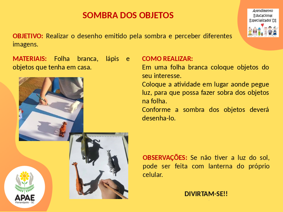 Sombra dos Objetos - Atendimento Educacional Especializado