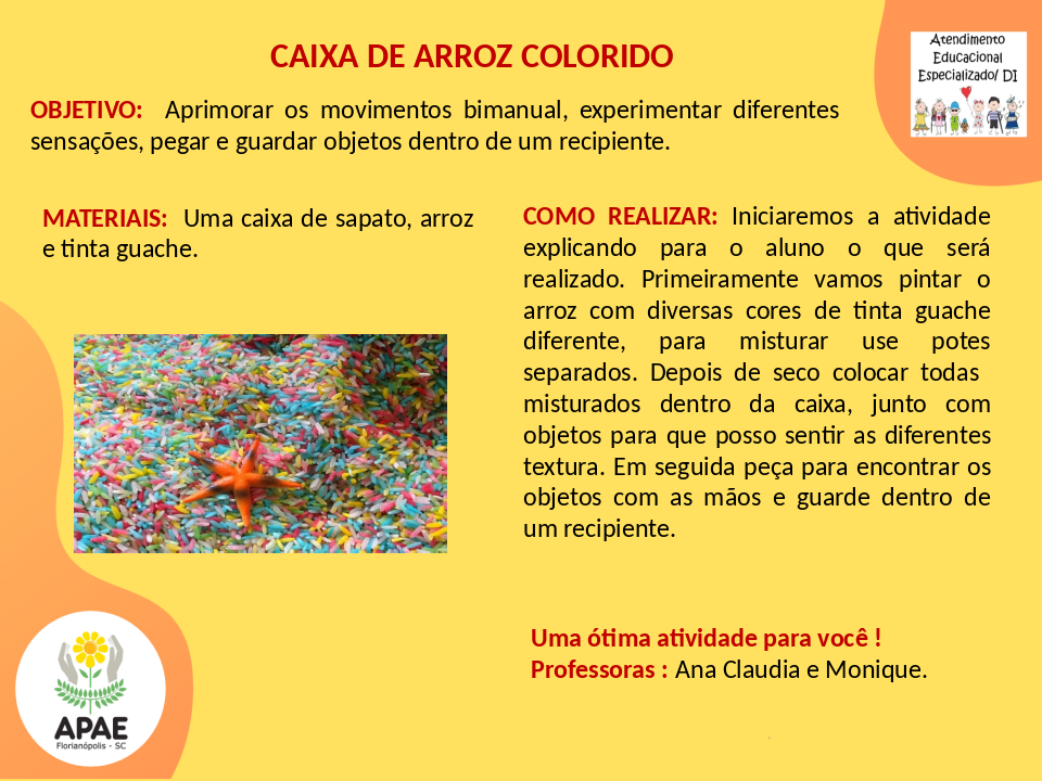 Caixa de Arroz - Atendimento Educacional Especializado