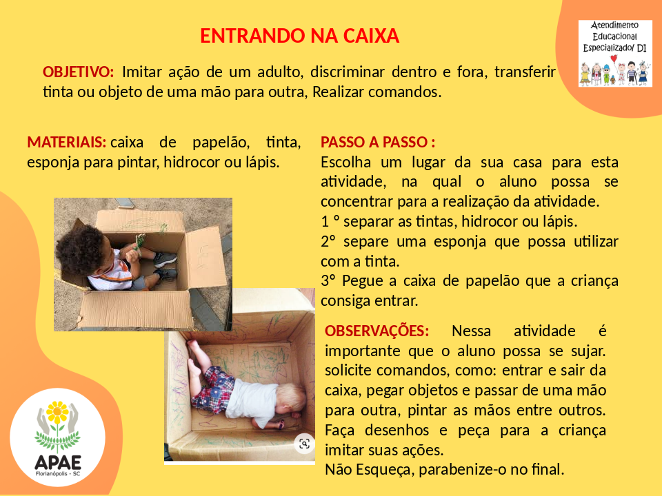Entrando na Caixa - Estimulação Precoce