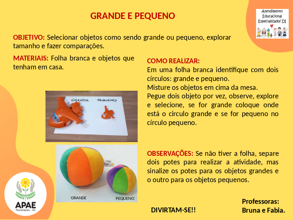  Grande e Pequeno - Estimulação Precoce 2