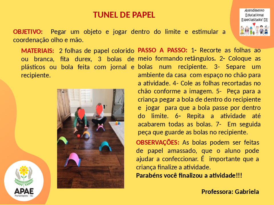 Túnel de Papel - Estimulação Precoce 1