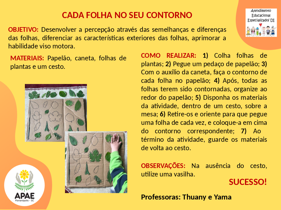 Cada folha com seu contorno - Estimulação Precoce 2