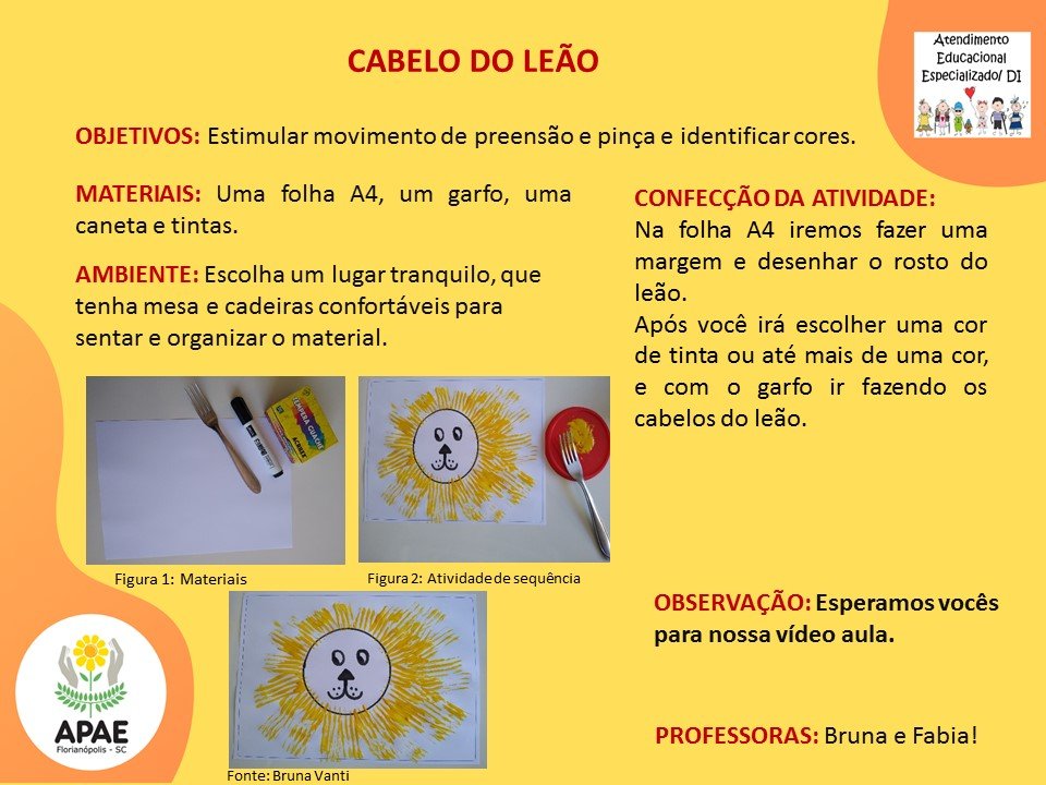 Estimulação Precoce 2 - Cabelo do Leão
