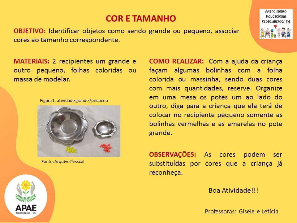 Estimulação Precoce 2 - Cor e Tamanho