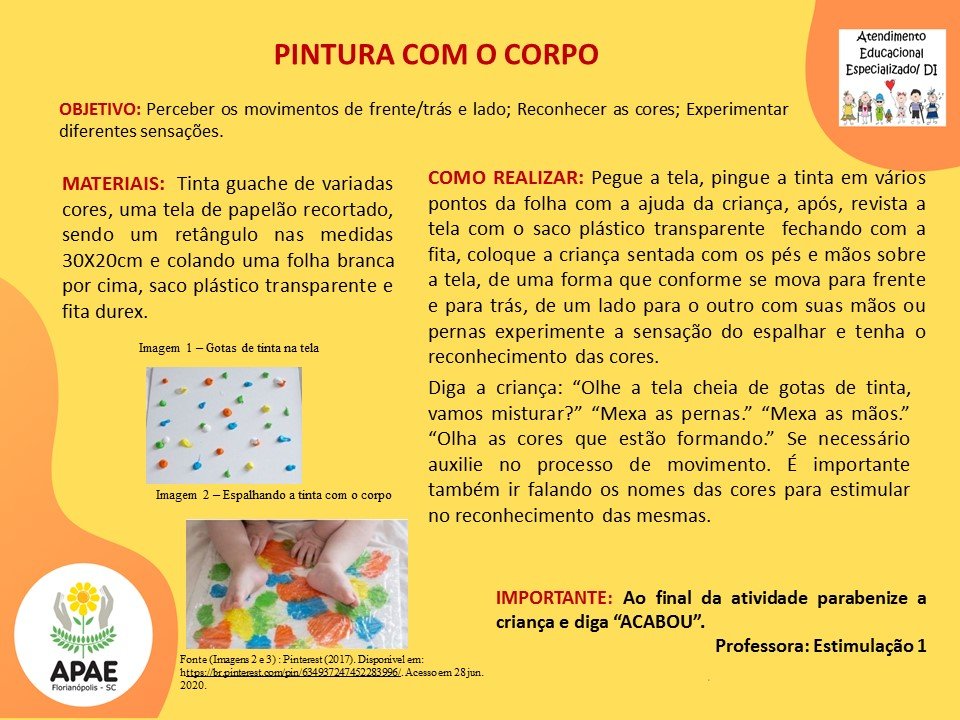 Estimulação Precoce 1 - Tinta Caseira