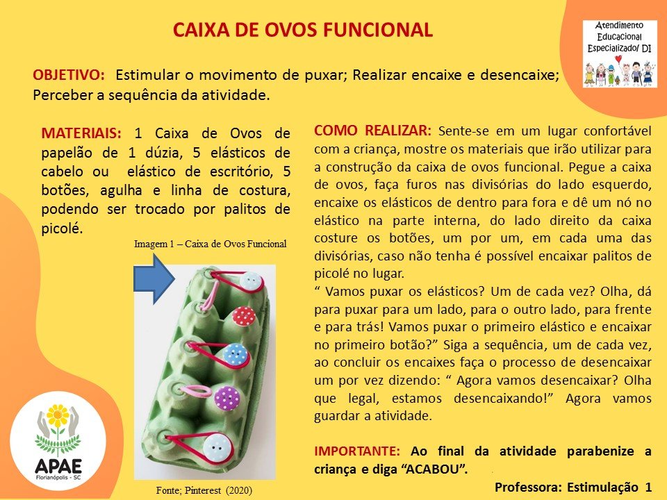Estimulação Precoce 1 - Caixa de Ovos Funcional