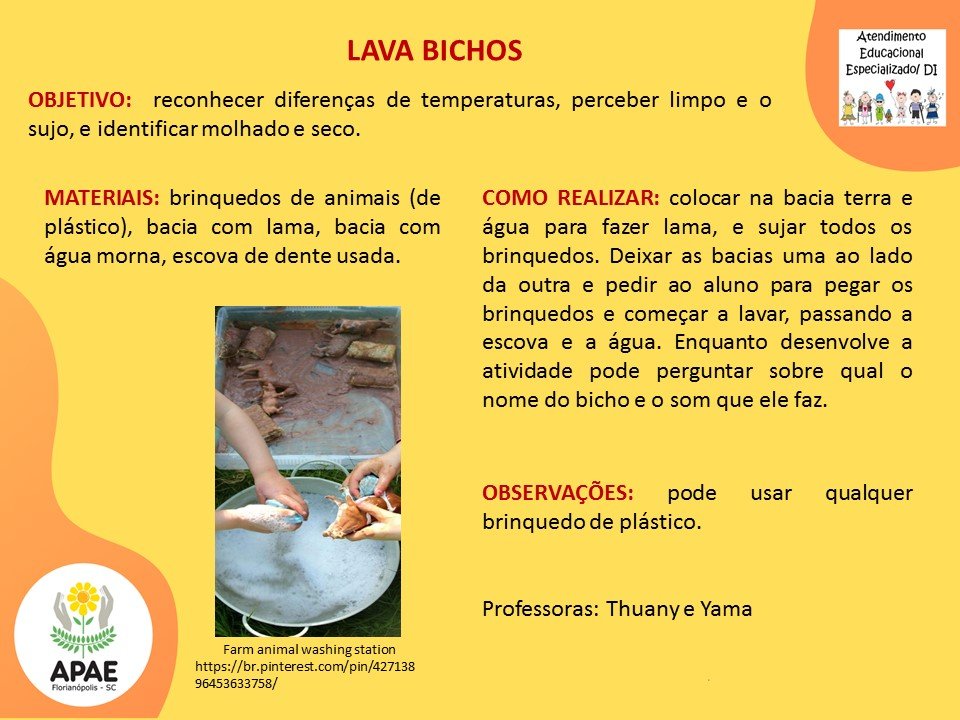 Estimulação Precoce 2 - Lava Bichos