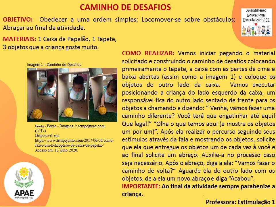 Estimulação Precoce 1 - Caminho de Desafios