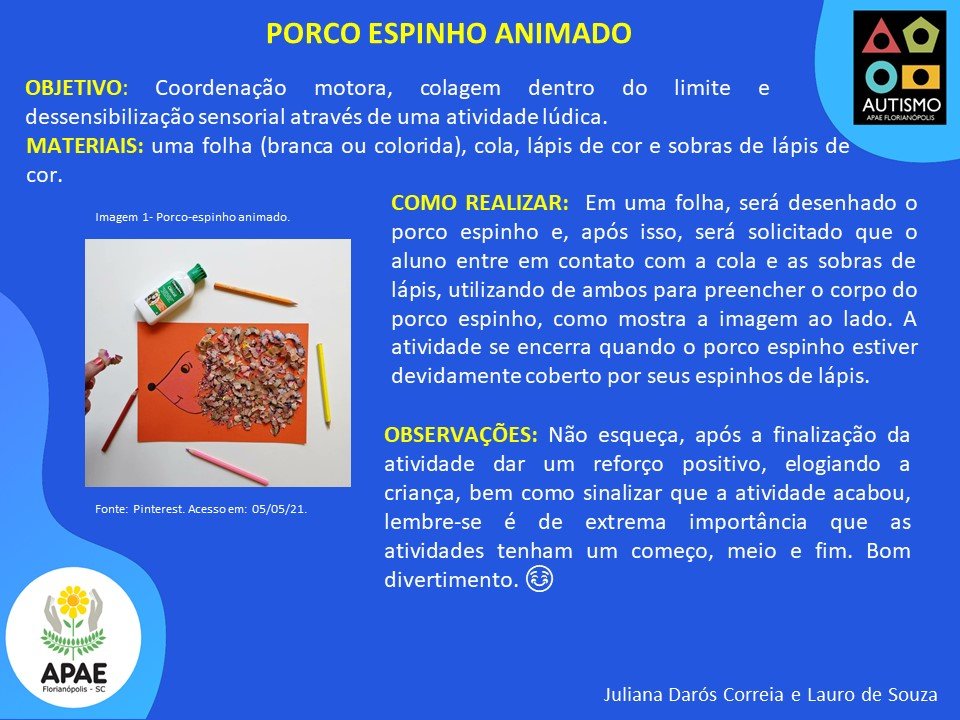 Porco Espinho Animado - Estimulação Precoce 2 TEA