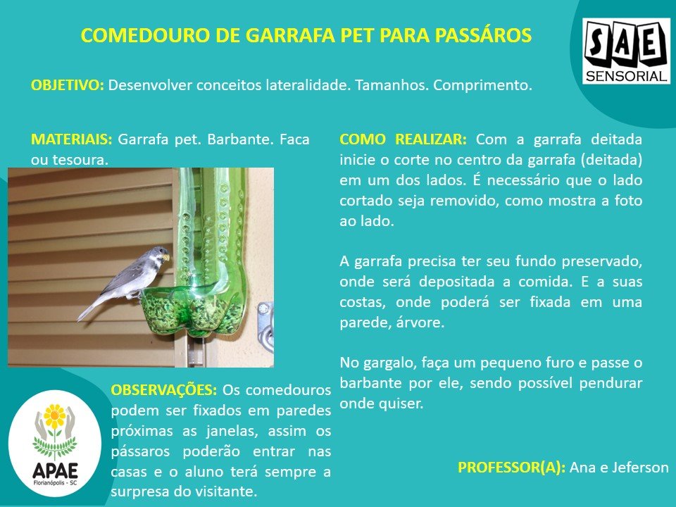 Pássaros  - SAE Sensorial
